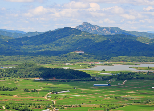 Cheorwon Plain (Migratory Bird Habitat)