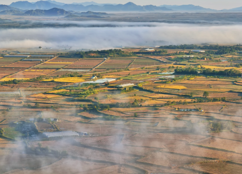 Cheorwon Plain (Migratory Bird Habitat)