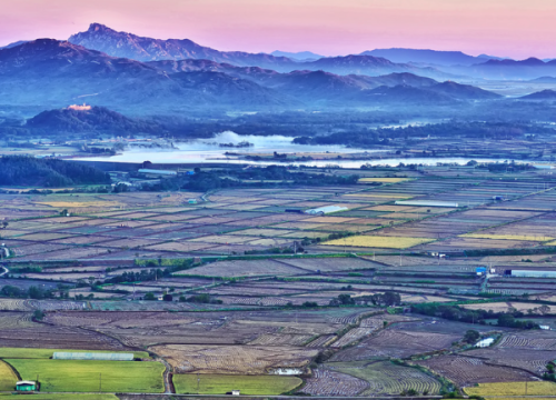 Cheorwon Plain (Migratory Bird Habitat)