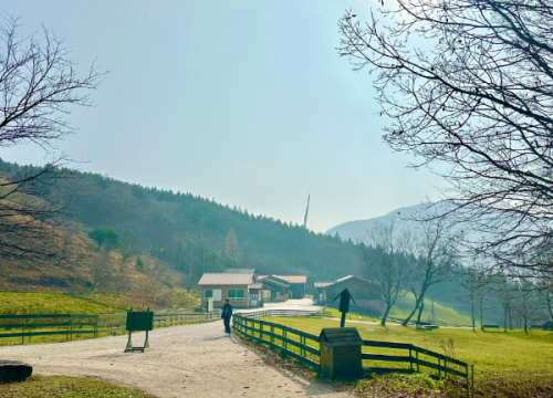 Đồi cừu Daewallyeong