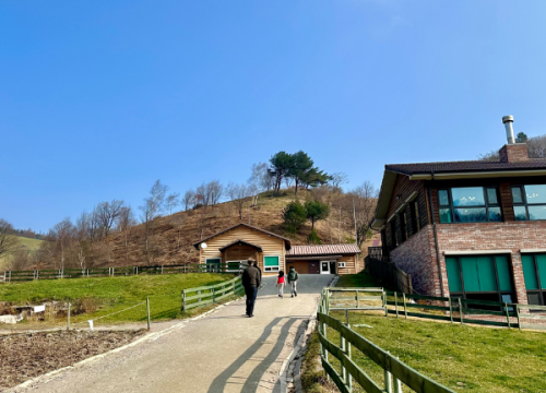 Đồi cừu Daewallyeong
