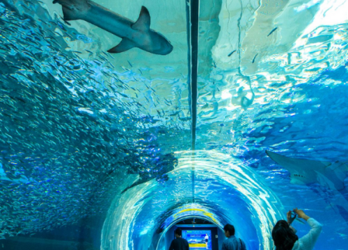 Thuỷ cung Aqua Planet