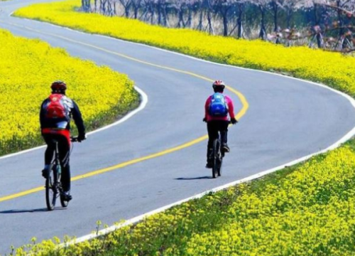 Trải nghiệm đi xe đạp tại Hàn Quốc