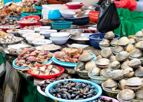 Chợ cá Jagalchi