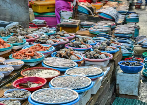 Chợ cá Jagalchi