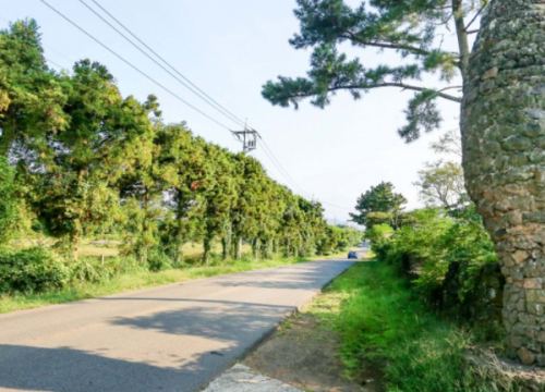 Con đường huyền bí - The mysterious road