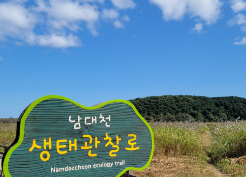 Tham quan con đường Namdaecheon