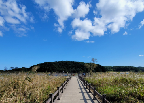 Tham quan con đường Namdaecheon
