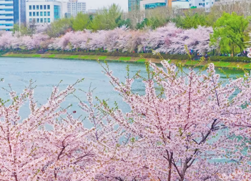 Hồ Seokchon