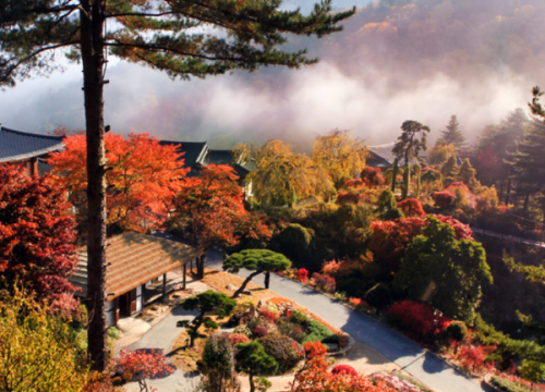 Khu vườn bách thảo buổi sáng “ The Garden of Morning Calm”