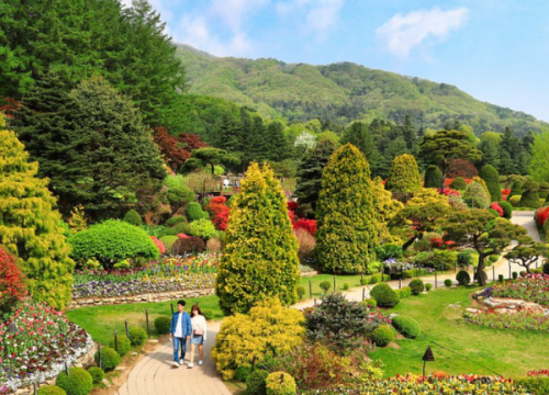 Khu vườn bách thảo buổi sáng “ The Garden of Morning Calm”
