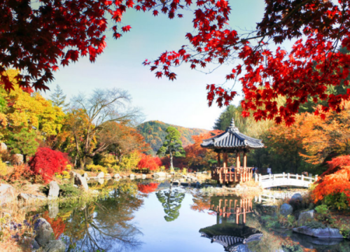 Khu vườn bách thảo buổi sáng “ The Garden of Morning Calm”