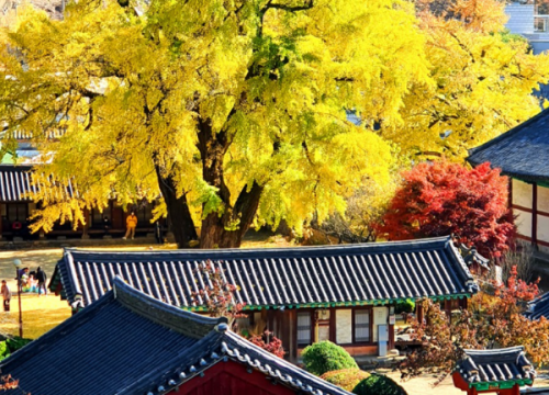 Làng cổ Jeonju