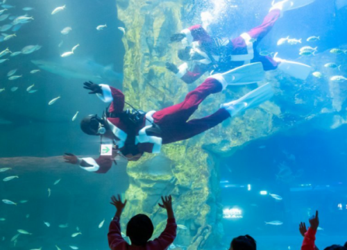 Thuỷ cung Lotte - Lotte Aquarium