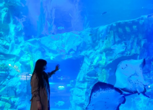 Thuỷ cung Lotte - Lotte Aquarium
