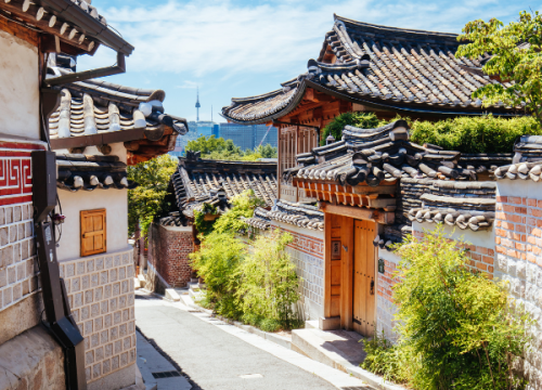 Nụ hôn nàng xuân xử sở kim chi